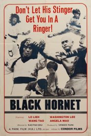 Black Hornet