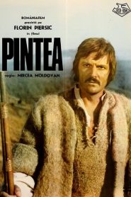 Pintea