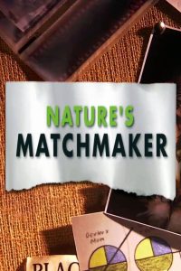 Nature’s Matchmaker