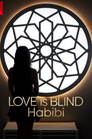 Love Is Blind, Habibi