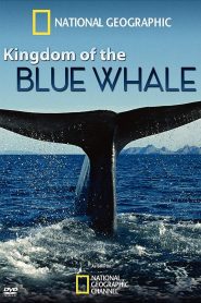 Kingdom of the Blue Whale