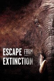 Escape from Extinction