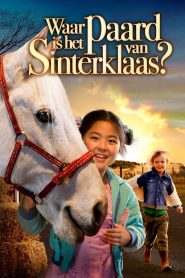 Where Is Winky’s Horse?