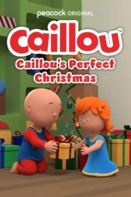 Caillou: Caillou’s Perfect Christmas