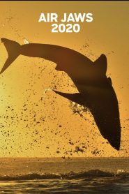 Air Jaws: 2020