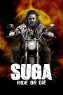 Suga