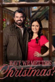 Have We Met This Christmas?