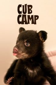 Cub Camp