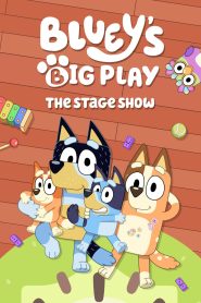Bluey’s Big Play
